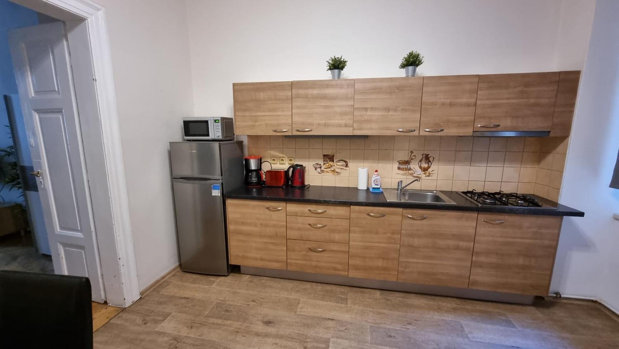 Krakovska 20 Appartement Praag